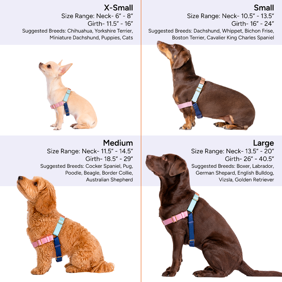 Roam Dog Harness