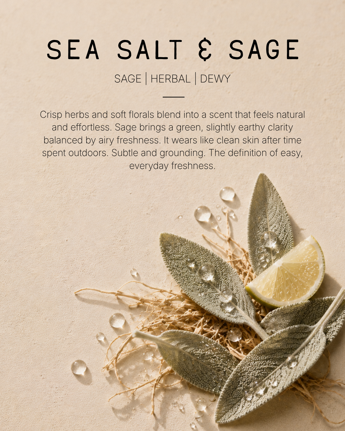 Sea Salt & Sage Hamam Deo Body Spray