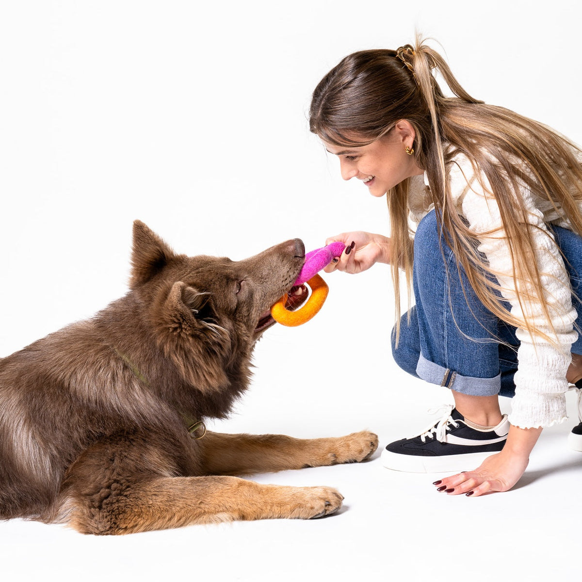 Sweethearts Felt Dog Toy