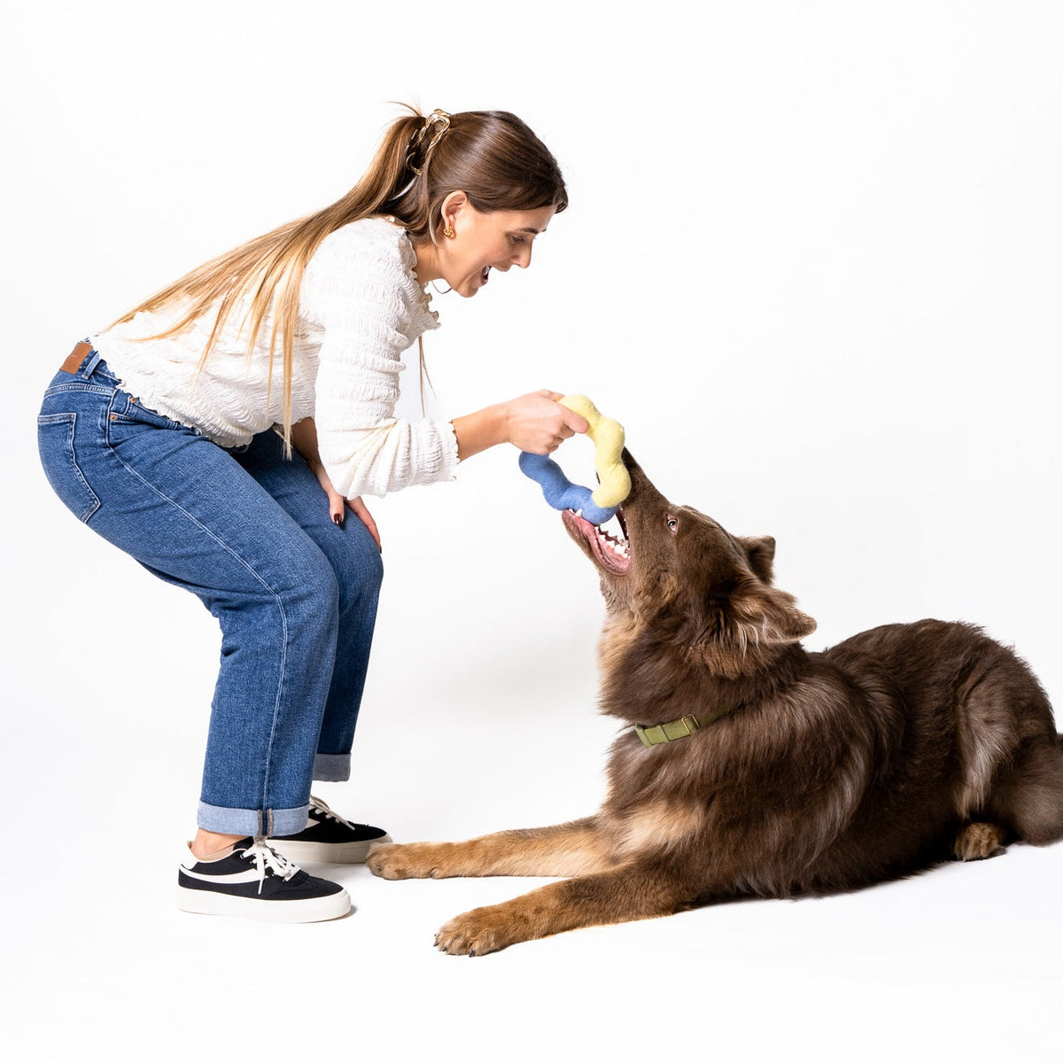Wiggle Ring Felt Dog Toy