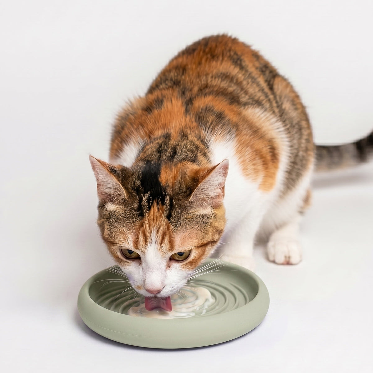 Lick Dish Slow Feeder For Dogs