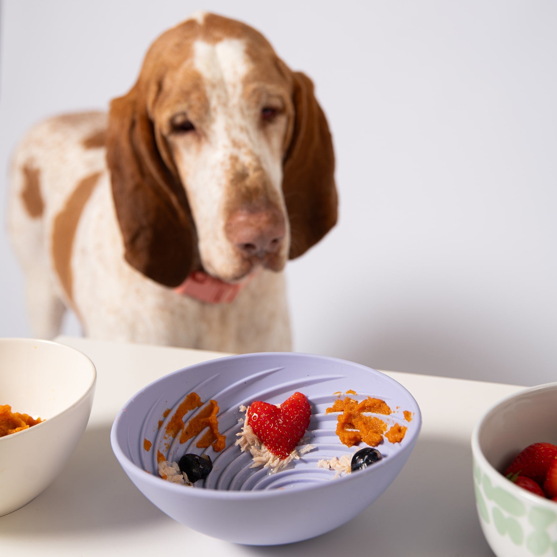 Wobbowl Lick & Slow Feeder Bowl For Dogs