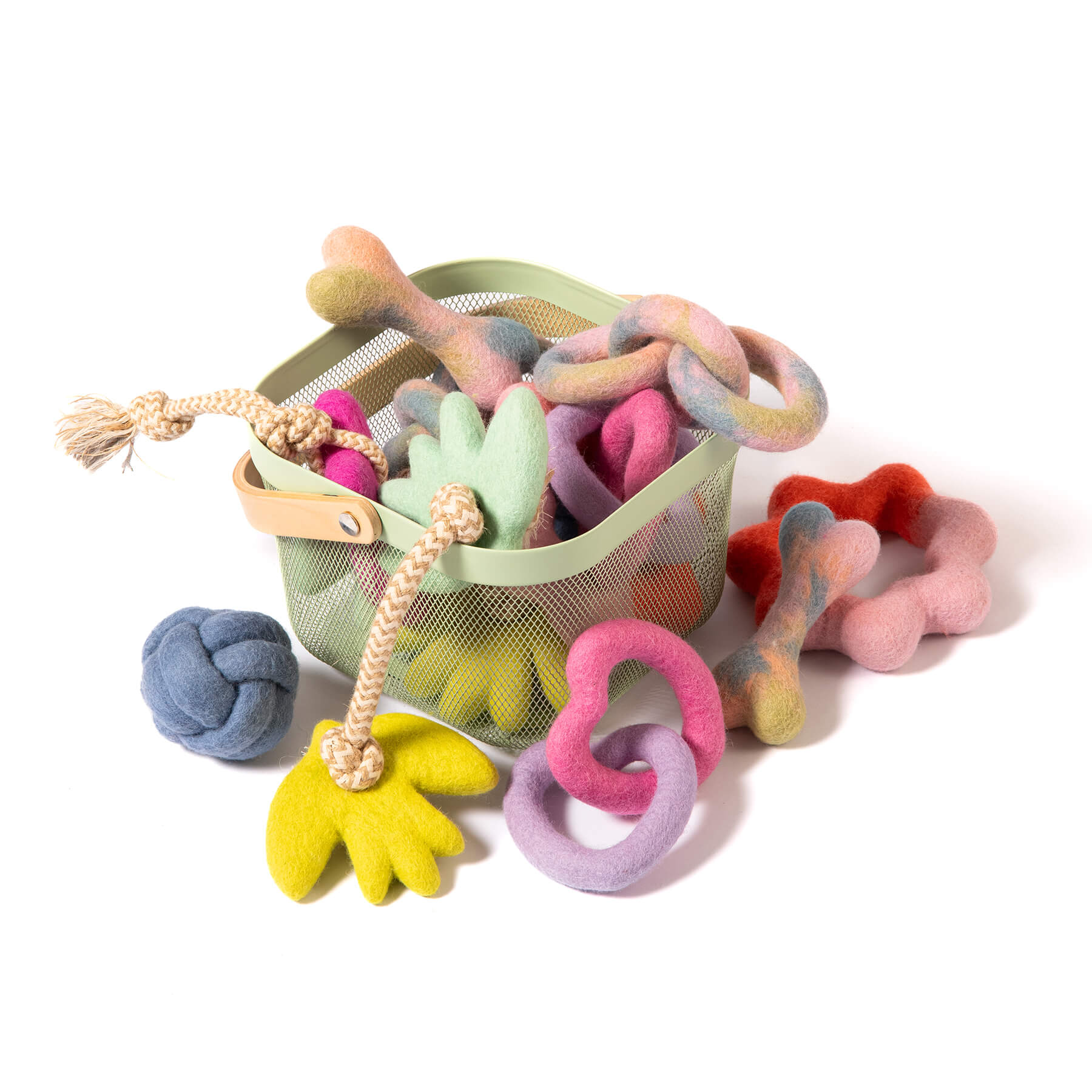 Pullin' Posies Felt Dog Toy