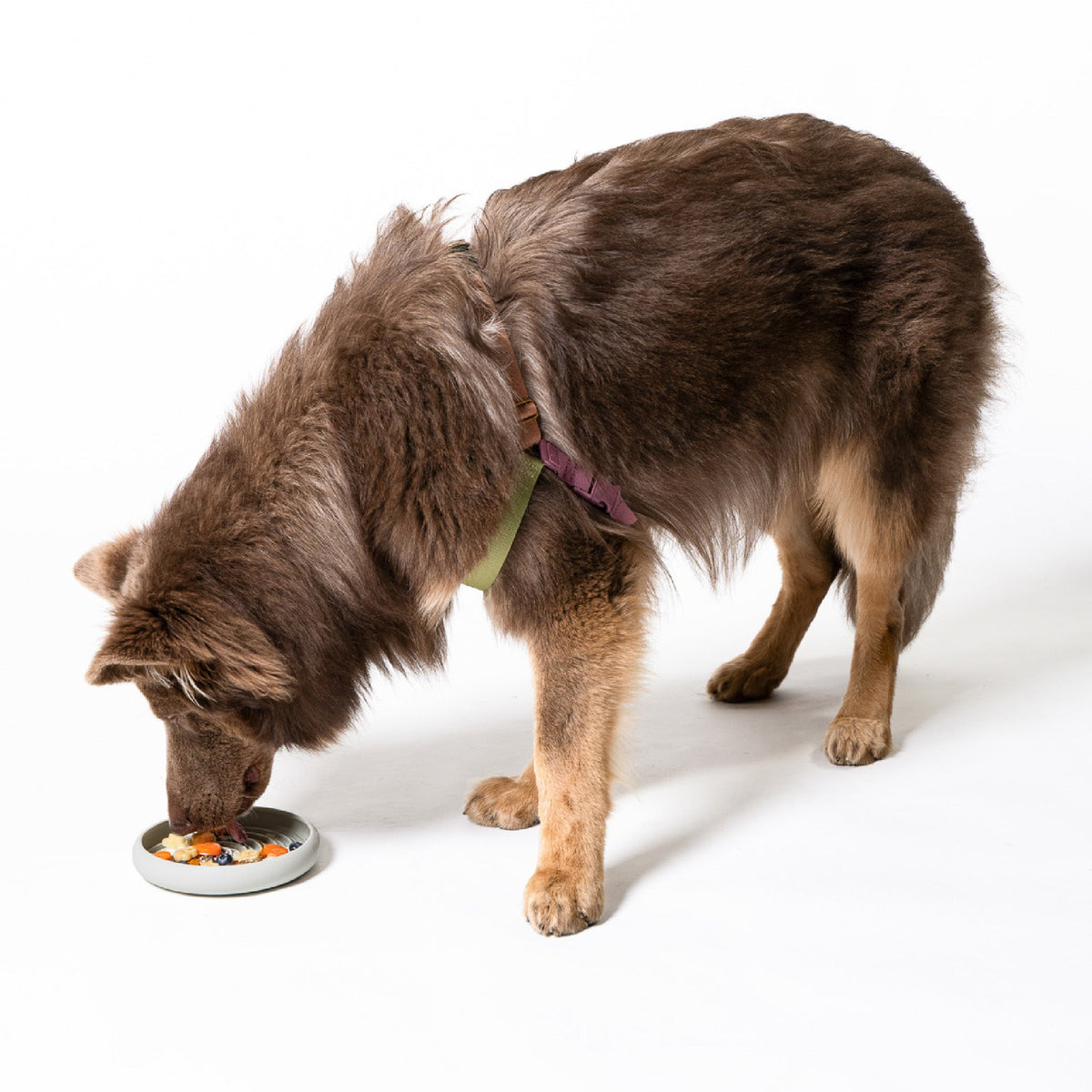 Lick Dish Slow Feeder For Dogs