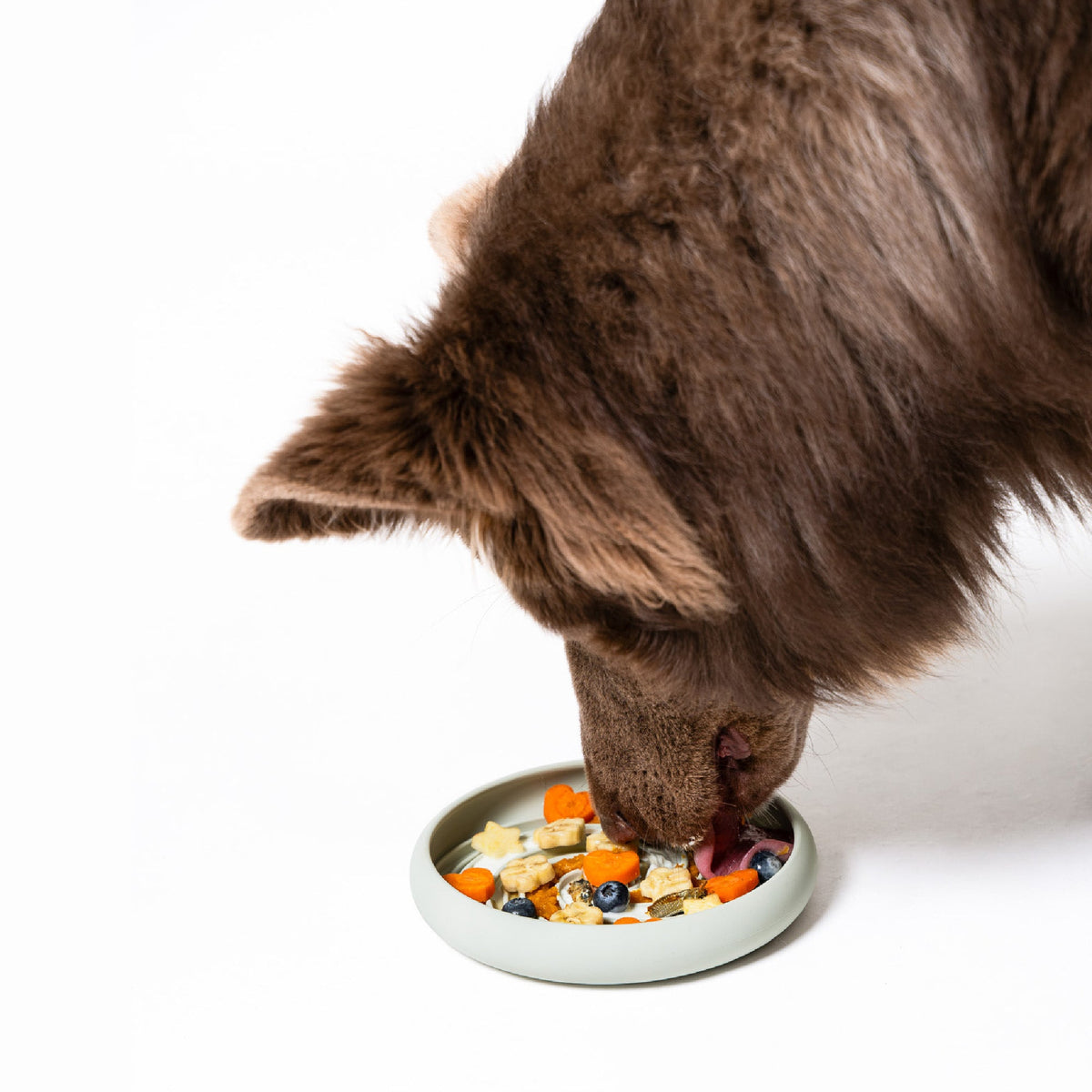 Lick Dish Slow Feeder For Dogs