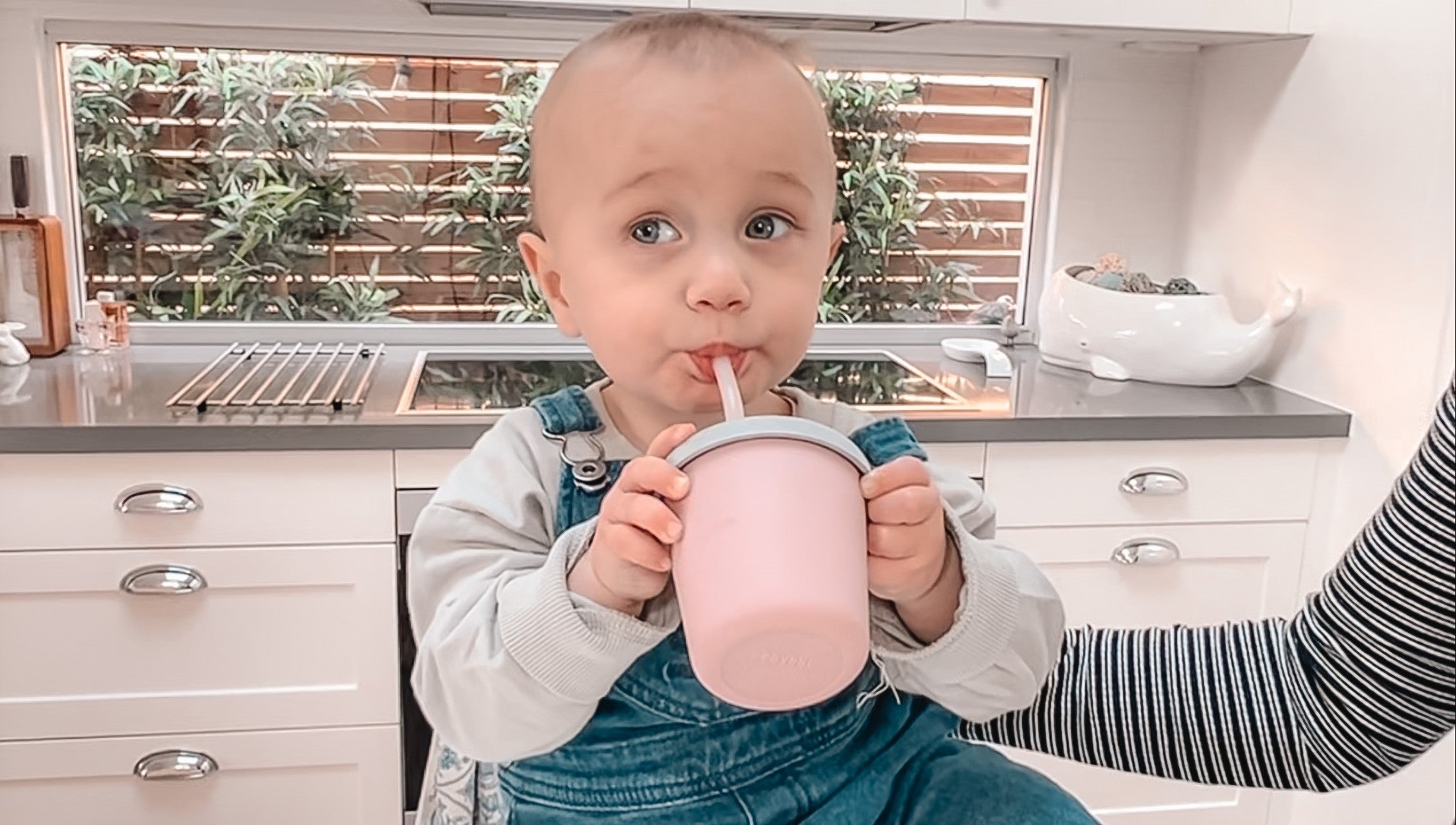 Haakaa Jolly Hippo Silicone Sippy Cup 1 pk