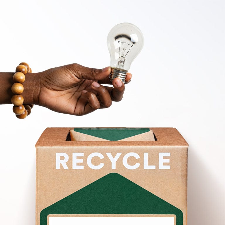 Incandescent Light Bulbs - Zero Waste Box