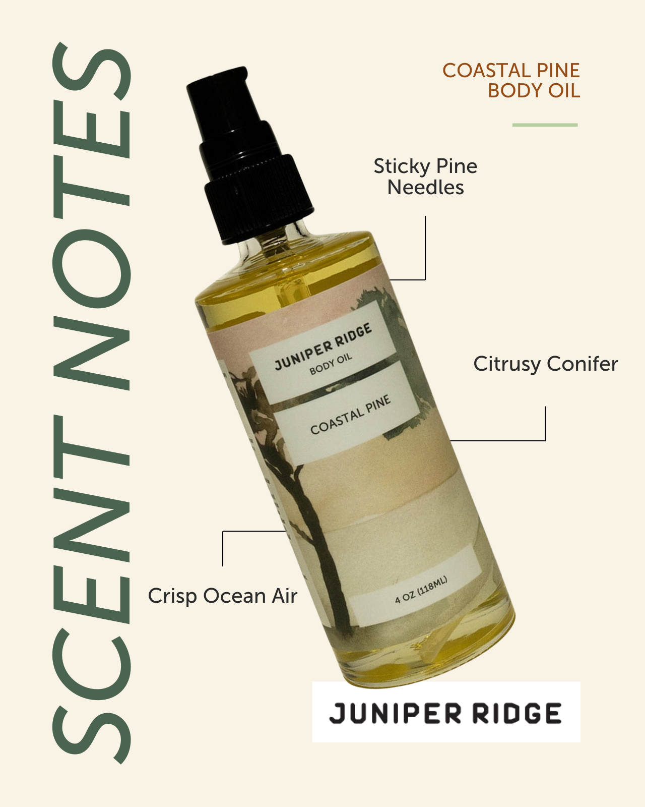 Coastal Pine Body Oil