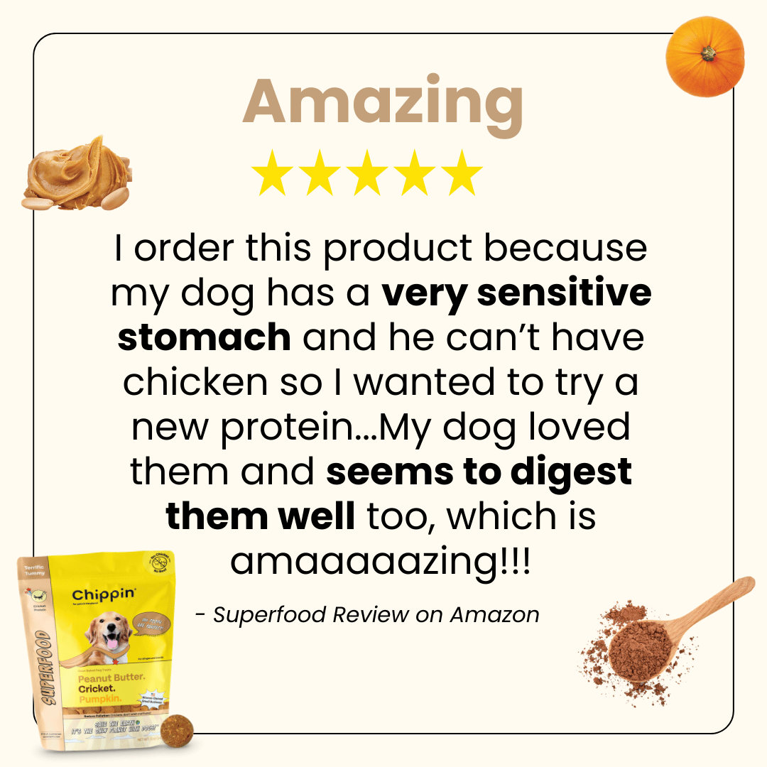 Allergy-Friendly Dog Treats, 6-Pack