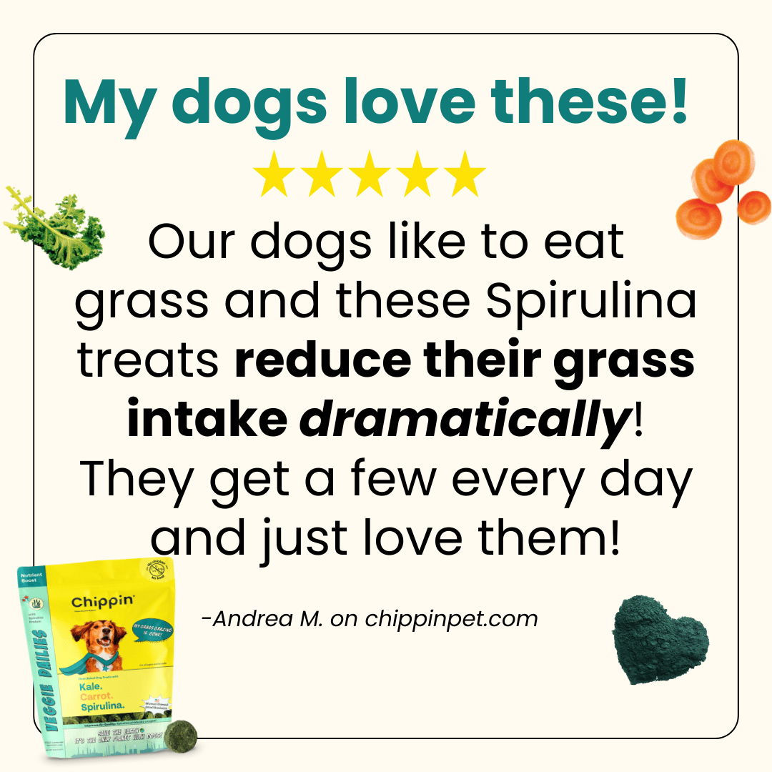 Allergy-Friendly Dog Treats, 6-Pack