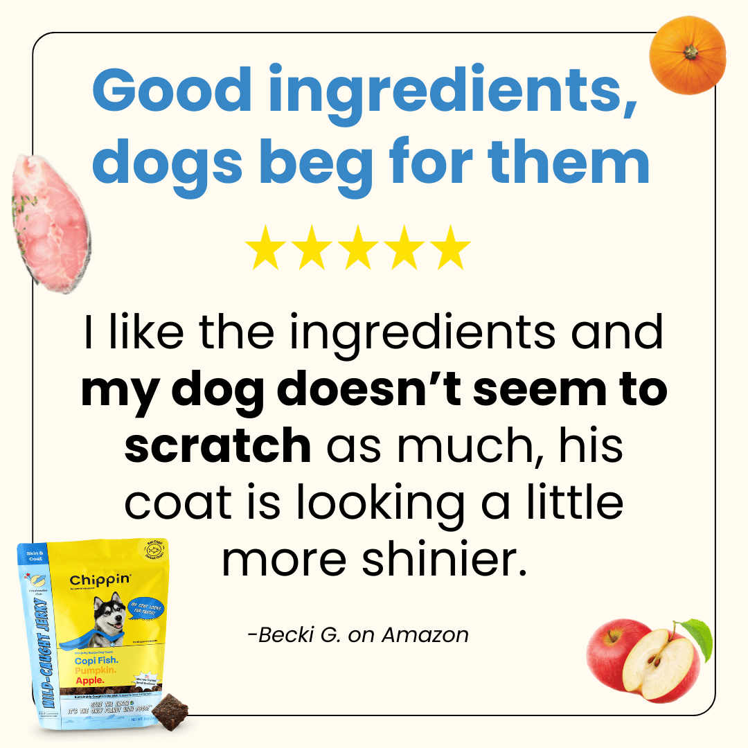 Allergy-Friendly Dog Treats, 6-Pack