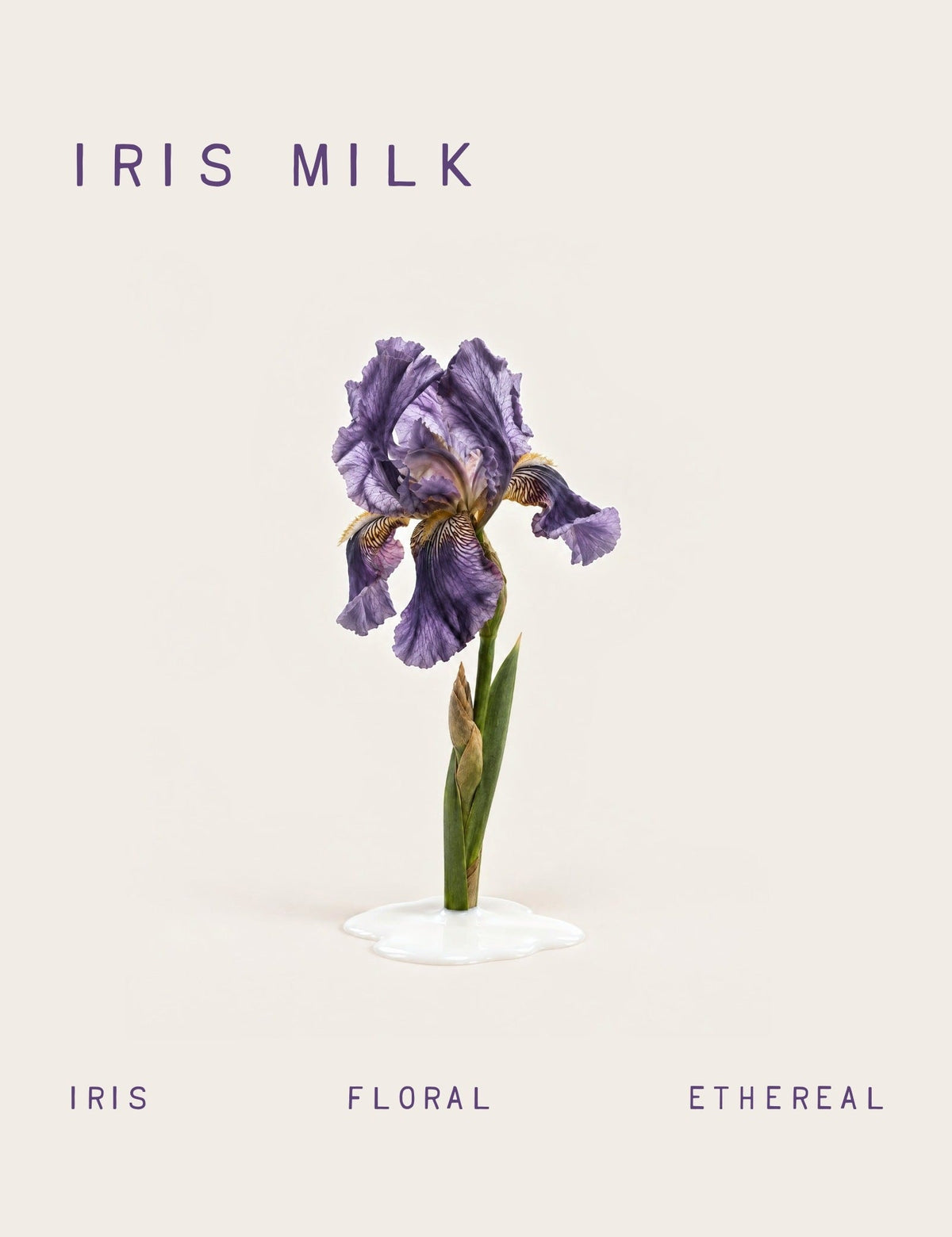 Iris Milk Fragrance