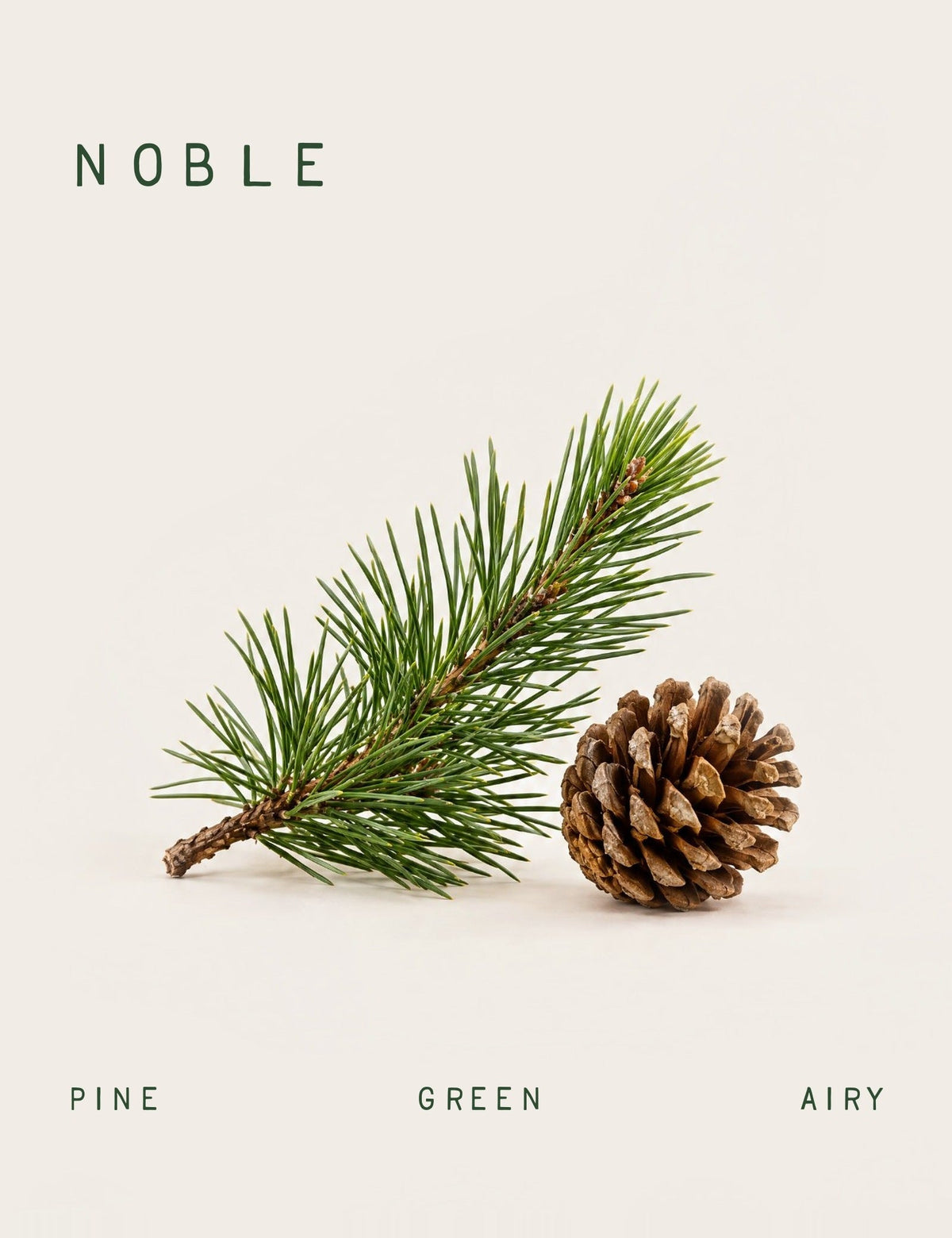 Noble Fragrance