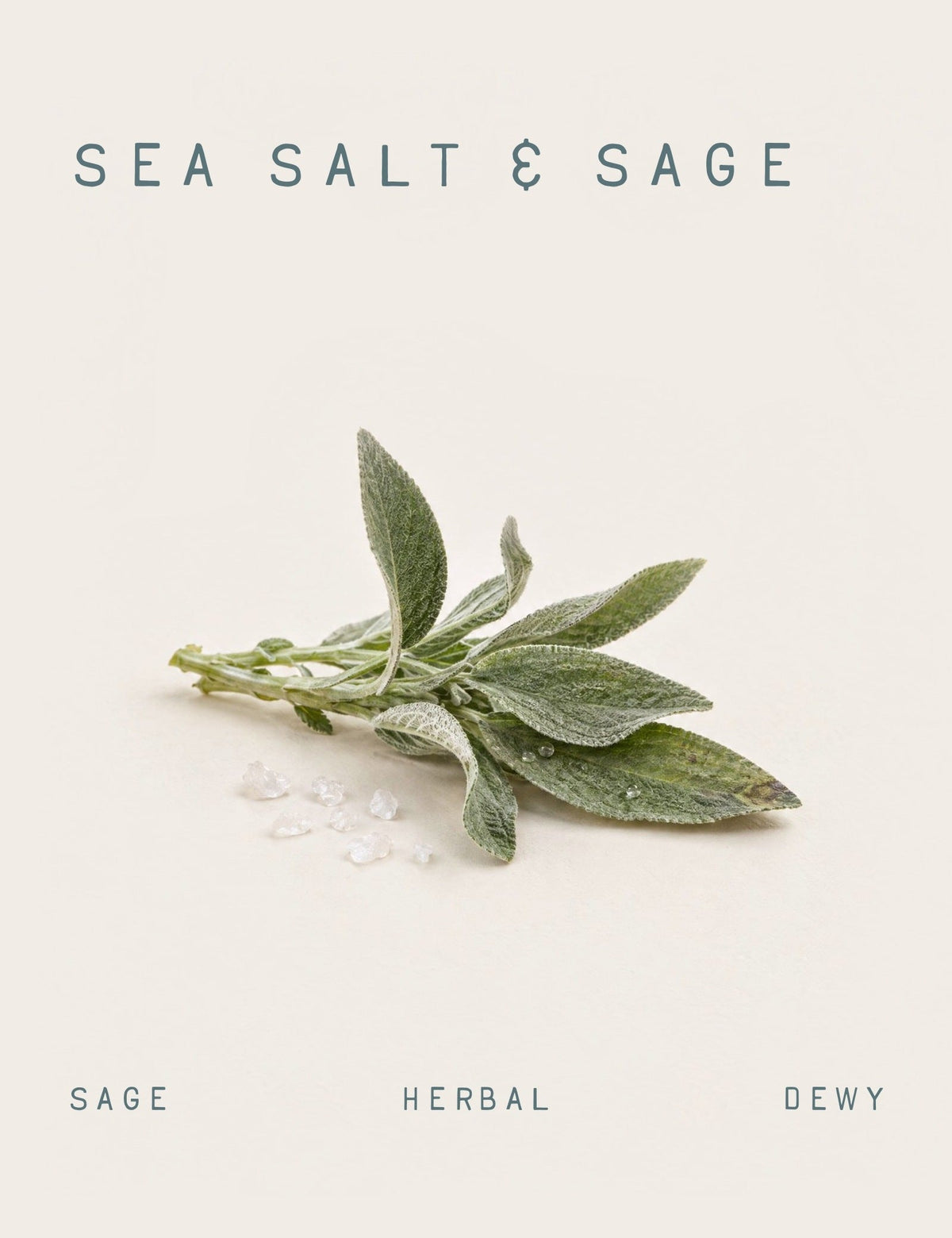 Sea Salt & Sage Fragrance