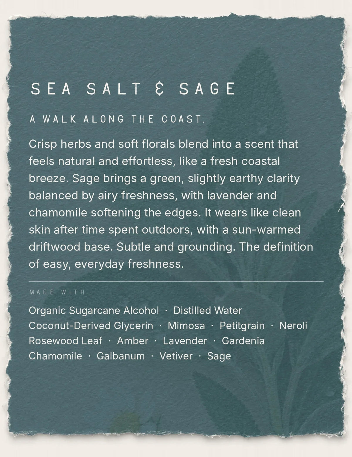 Sea Salt & Sage Fragrance