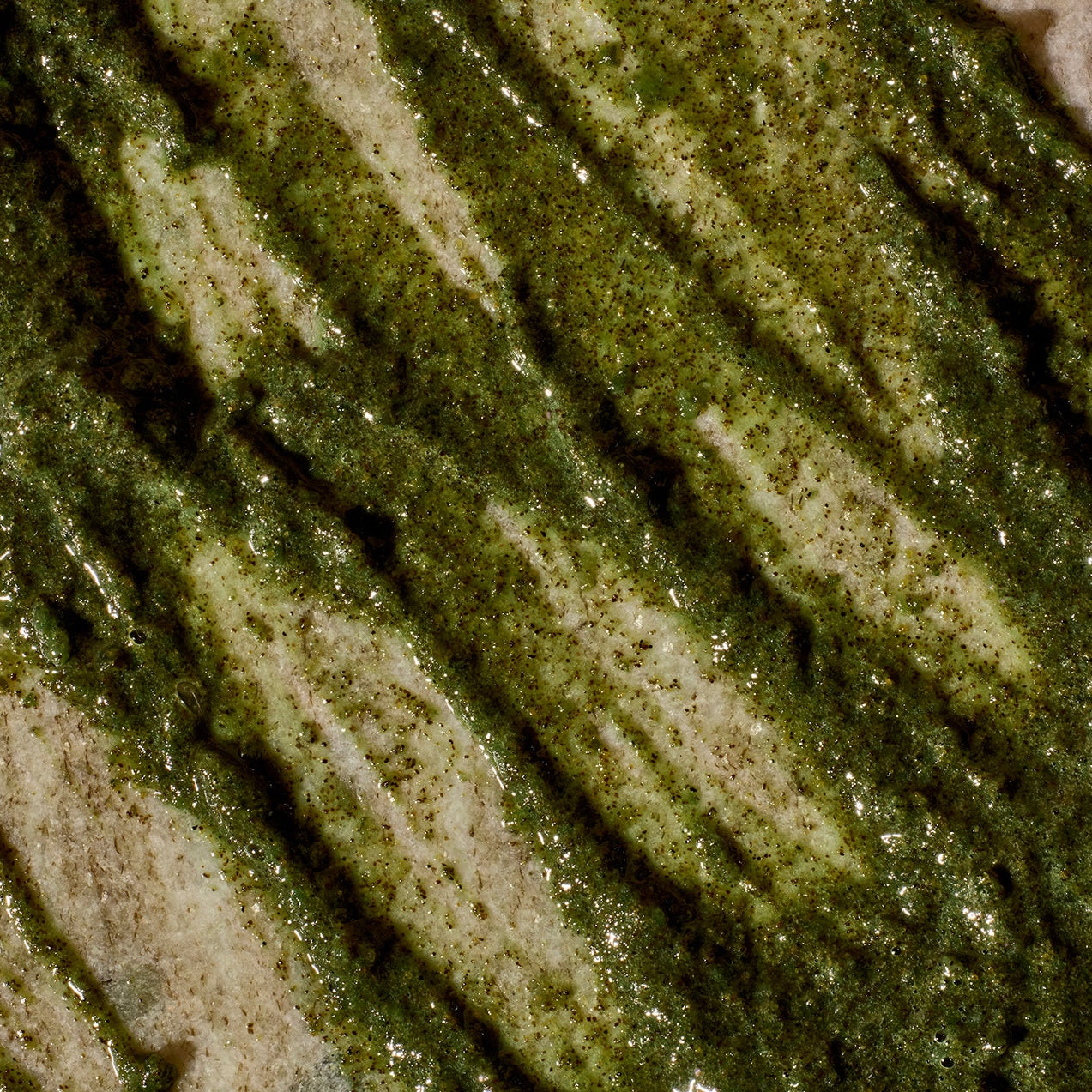 Exfoliating Facial Cleanser