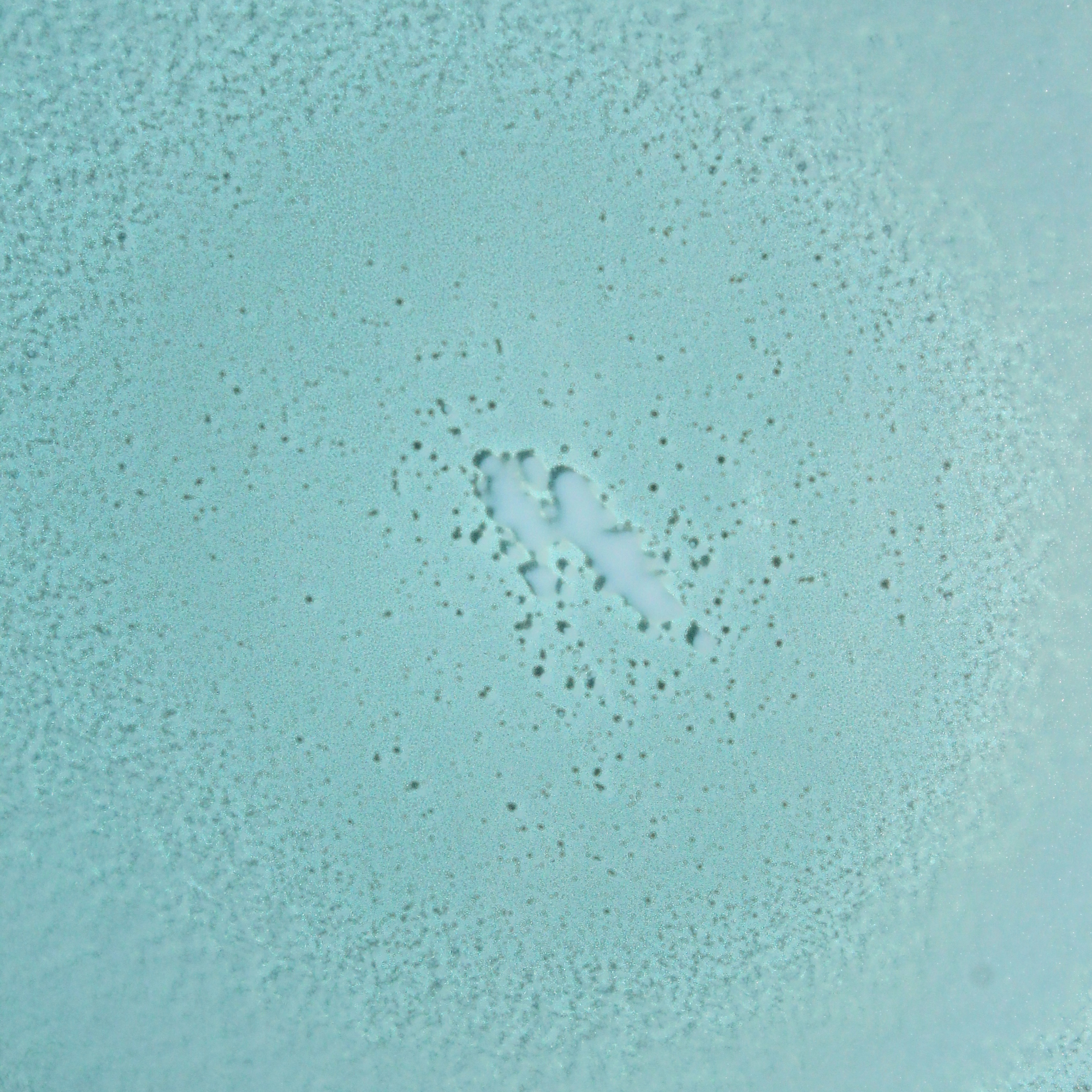 Bask Suncare SPF 30 Mineral Fragrance-Free Non-Aerosol Spray