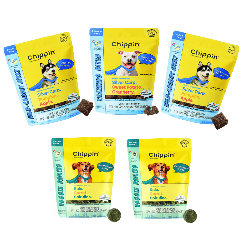 Fish & Veggie Variety Pack Dog Treats | Chippin | EarthHero