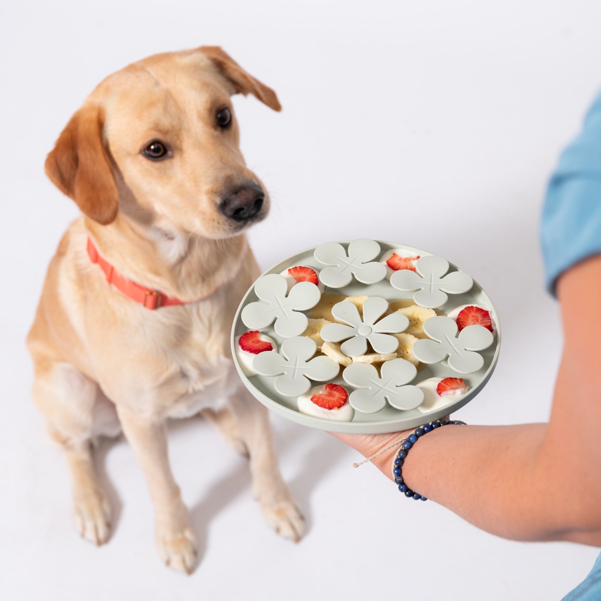 Meadow Mat Slow Feeder For Dogs