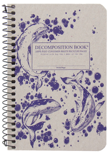 Ruled Spiral Decomposition Notebook