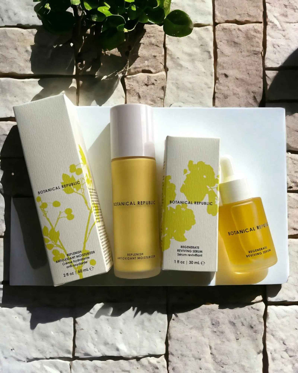 HYDRATION ESSENTIALS KIT | Botanical Republic