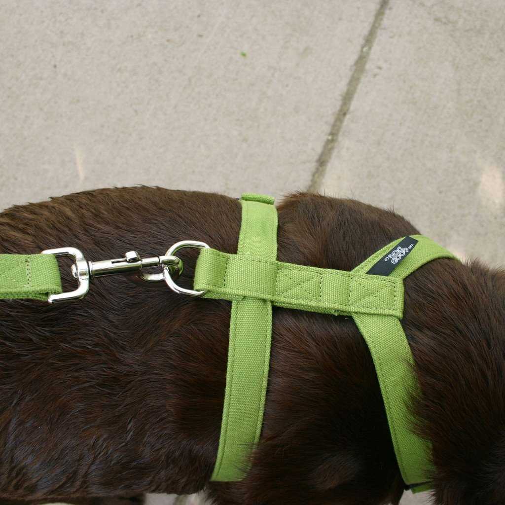 Hemp Dog Harness Basic GREEN