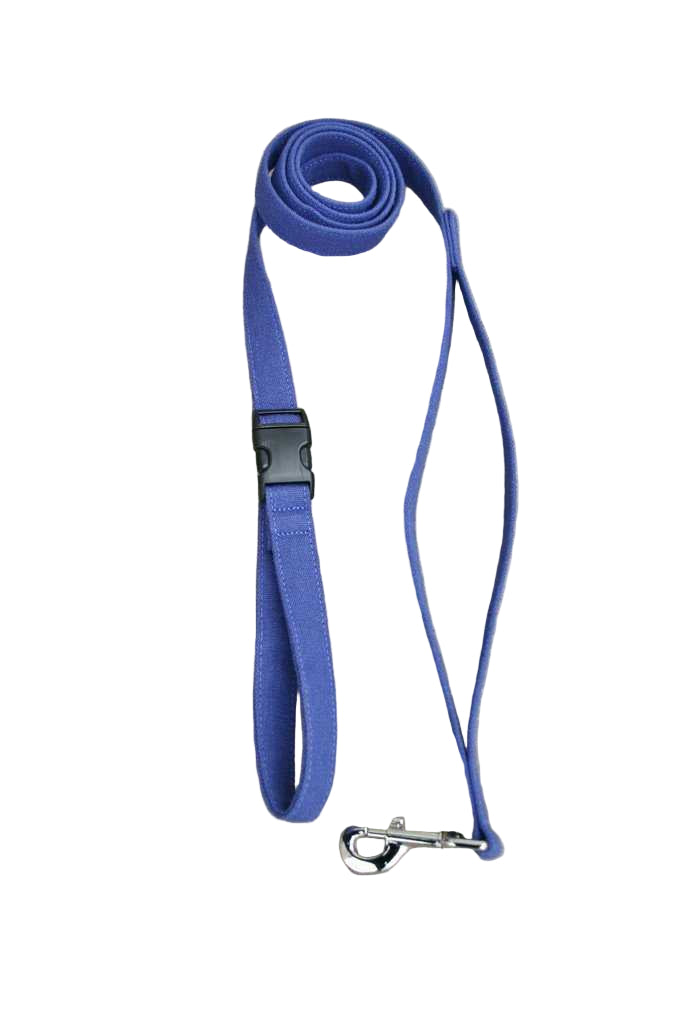 Blue dog leash with a clip on a gray concrete surface