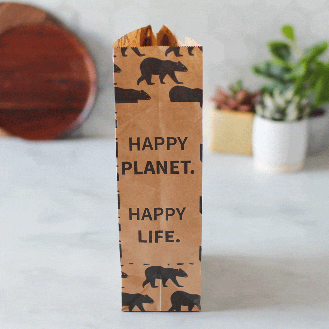 Recyclable Paper Lunch Sacs Variety Pack