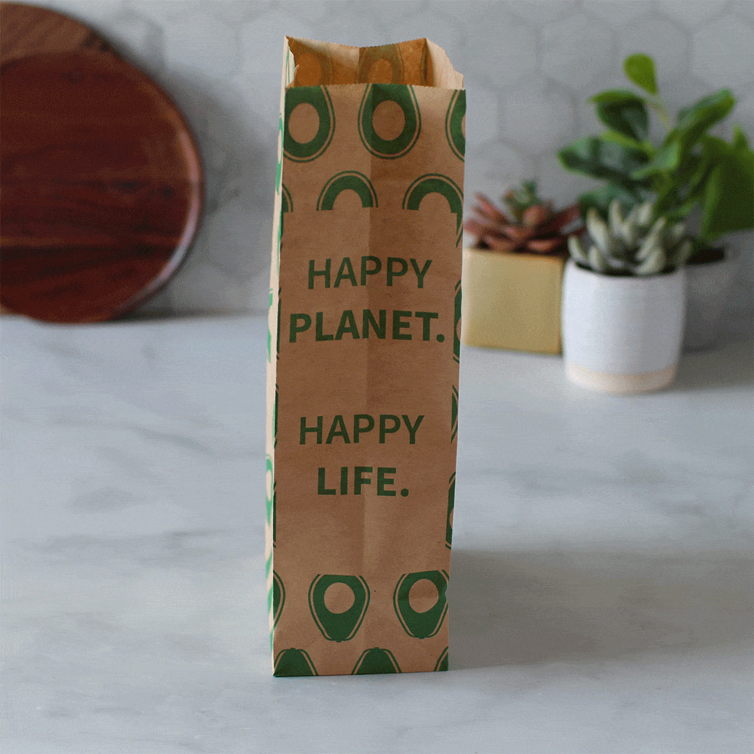 Recyclable Paper Lunch Sacs Variety Pack