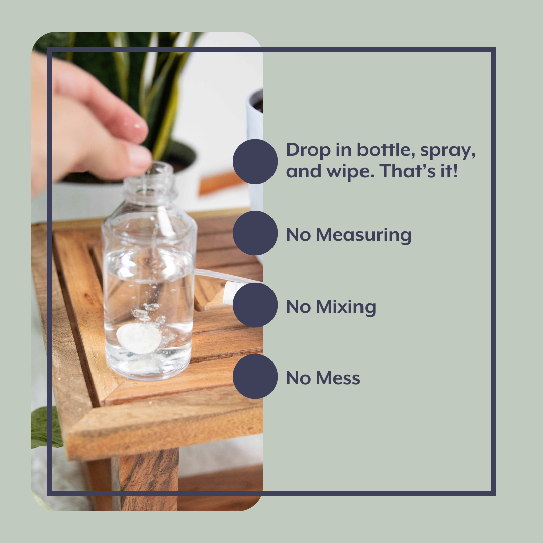 Houseplant DEFENSE Bundle - Natural Pest Control, Spray Bottle & Gloves