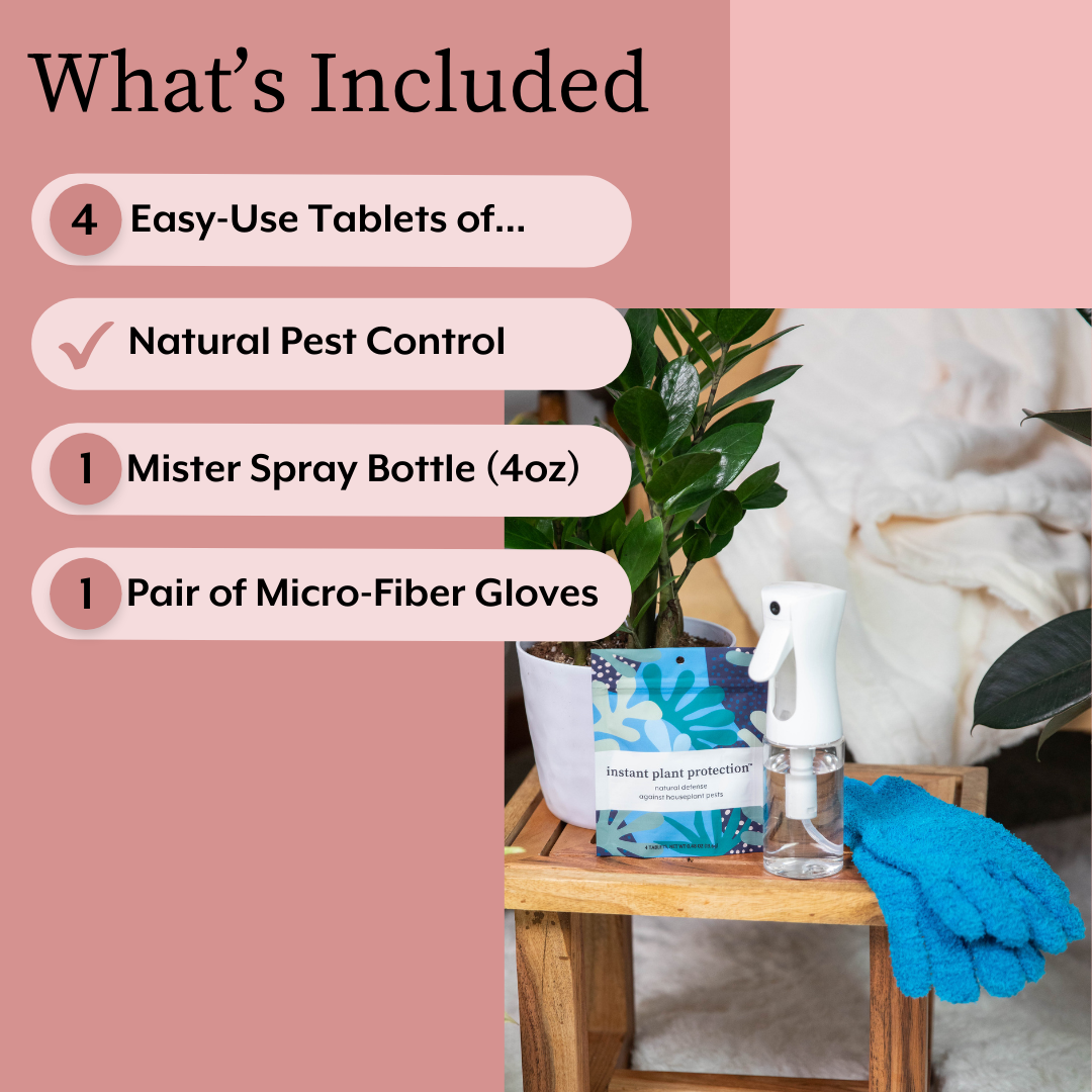 Houseplant DEFENSE Bundle - Natural Pest Control, Spray Bottle & Gloves
