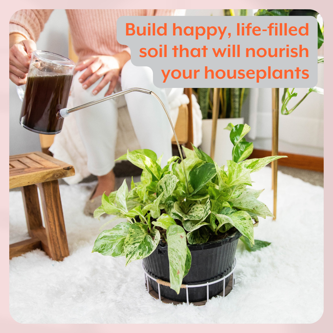 Houseplant GROW Bundle - Plant Food, ProBiotics & Watering Can