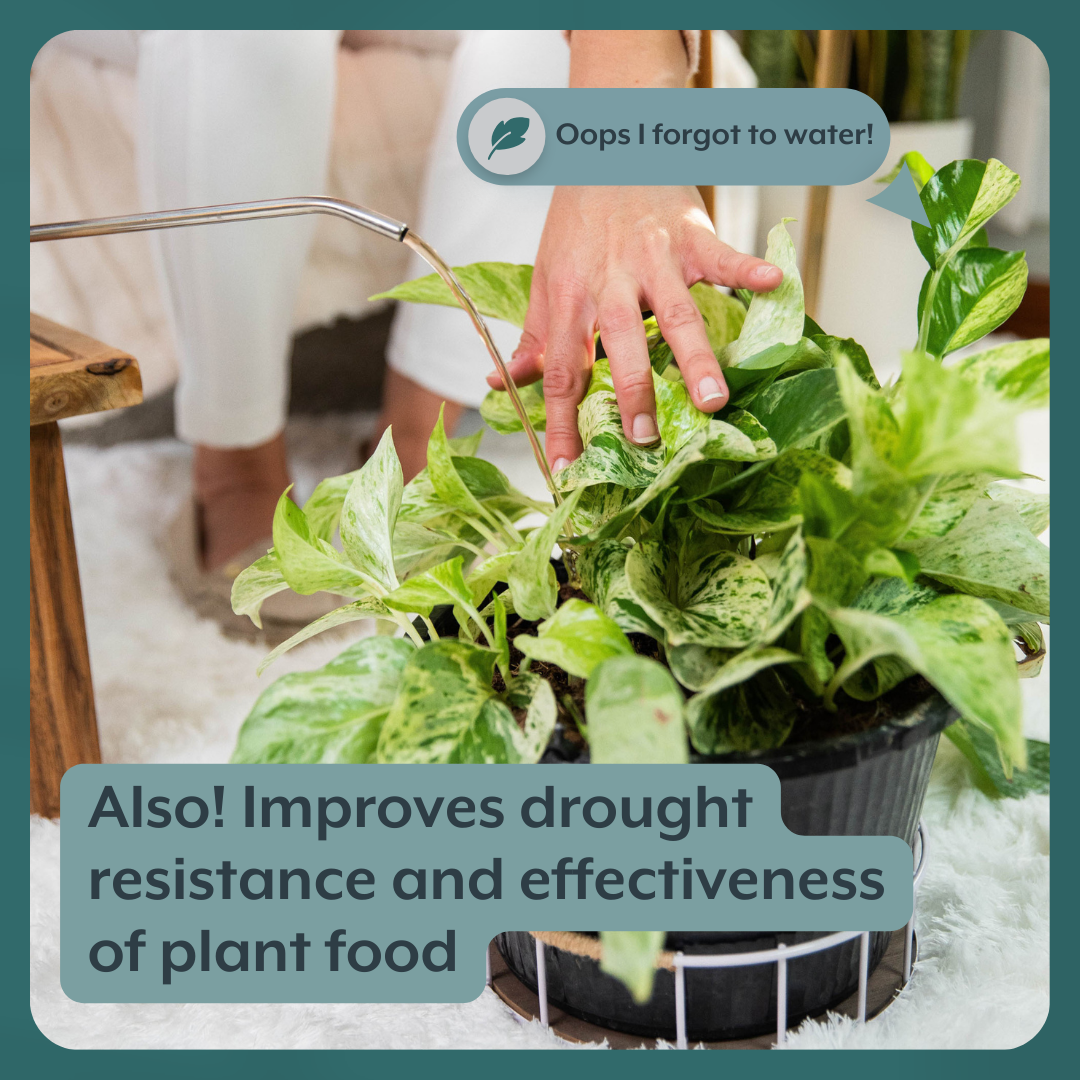 Houseplant GROW Bundle - Plant Food, ProBiotics & Watering Can