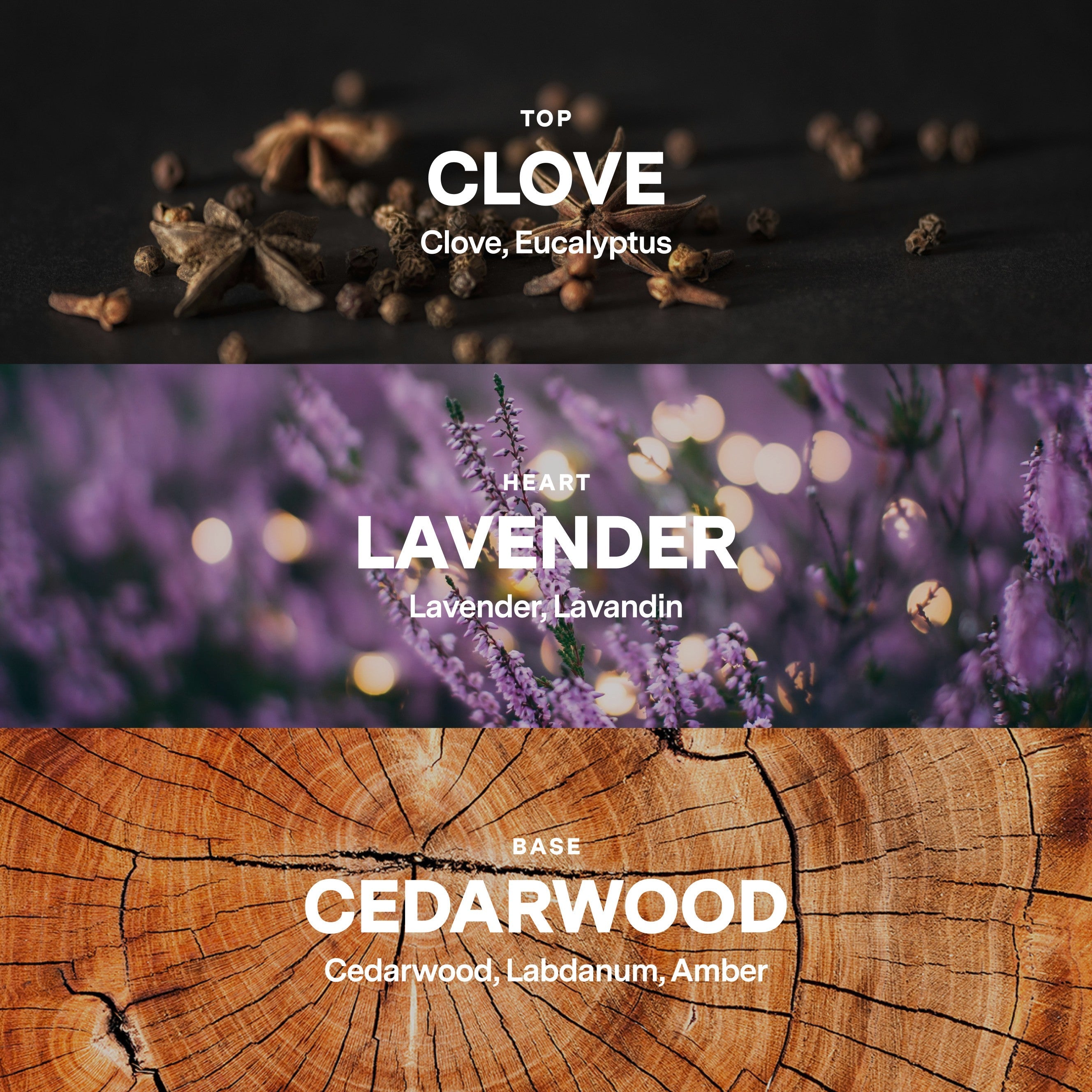 No. 05 Candle Refill — Clove, Lavender, Cedarwood