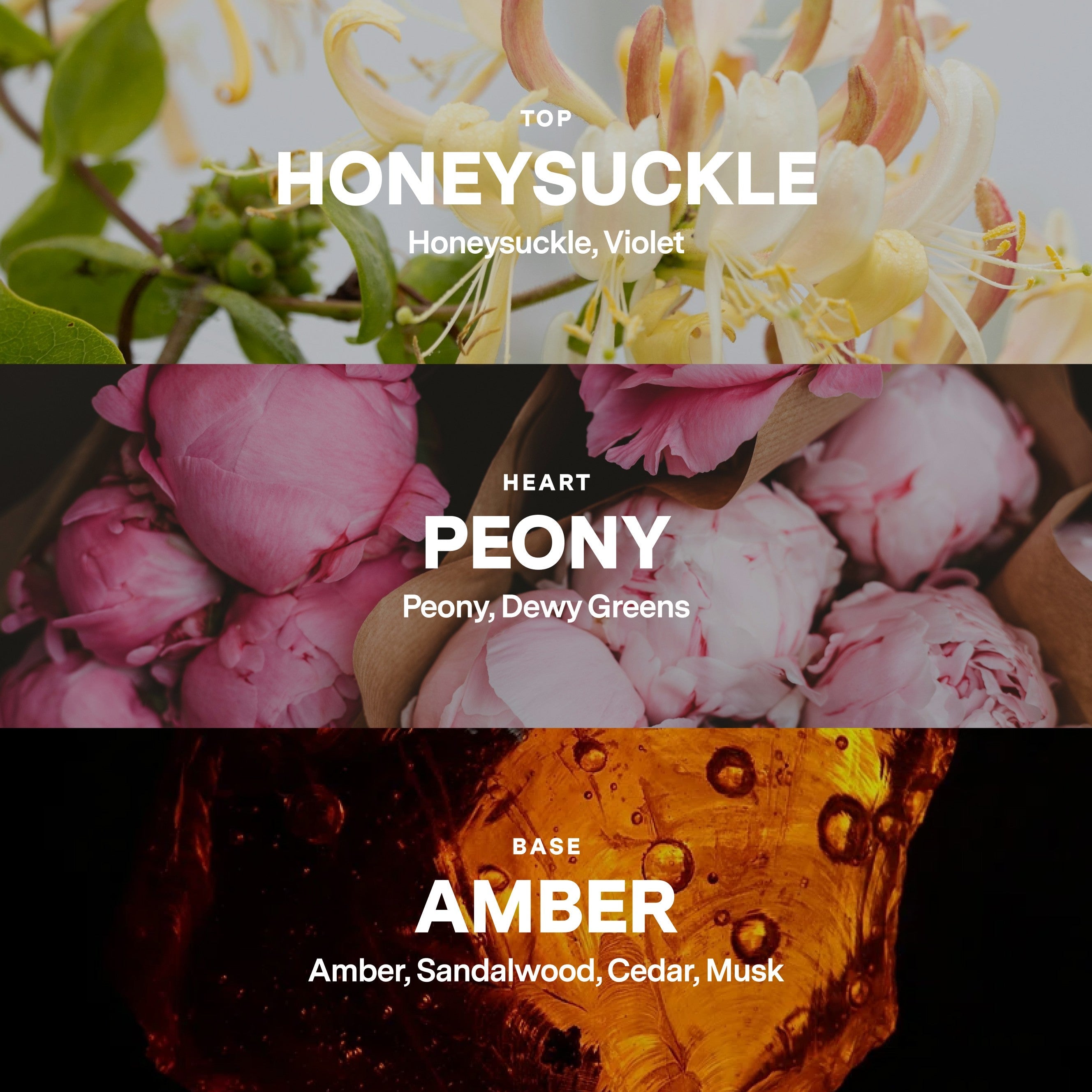 No 08 Candle Refill — Honeysuckle, Peony, Amber
