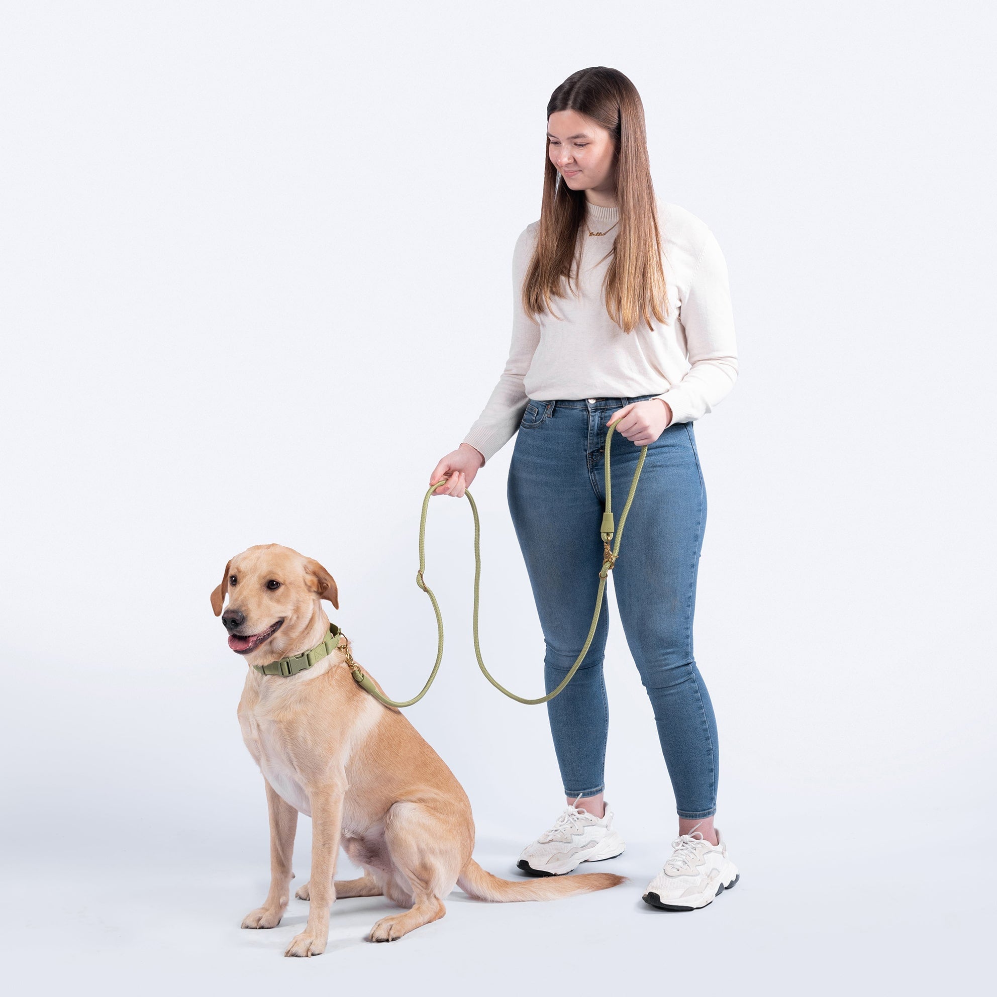 Infinity Dog Leash