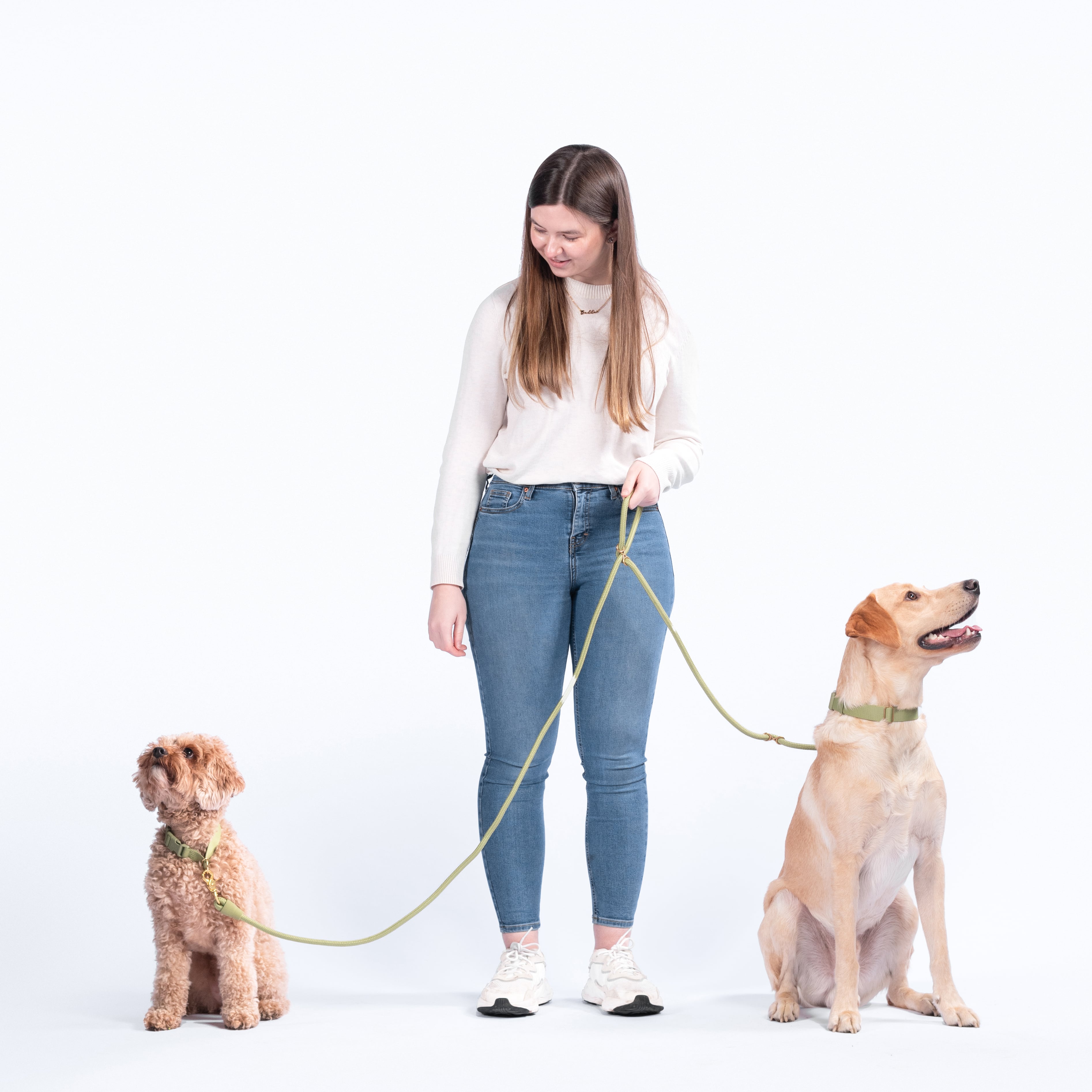 Infinity Dog Leash