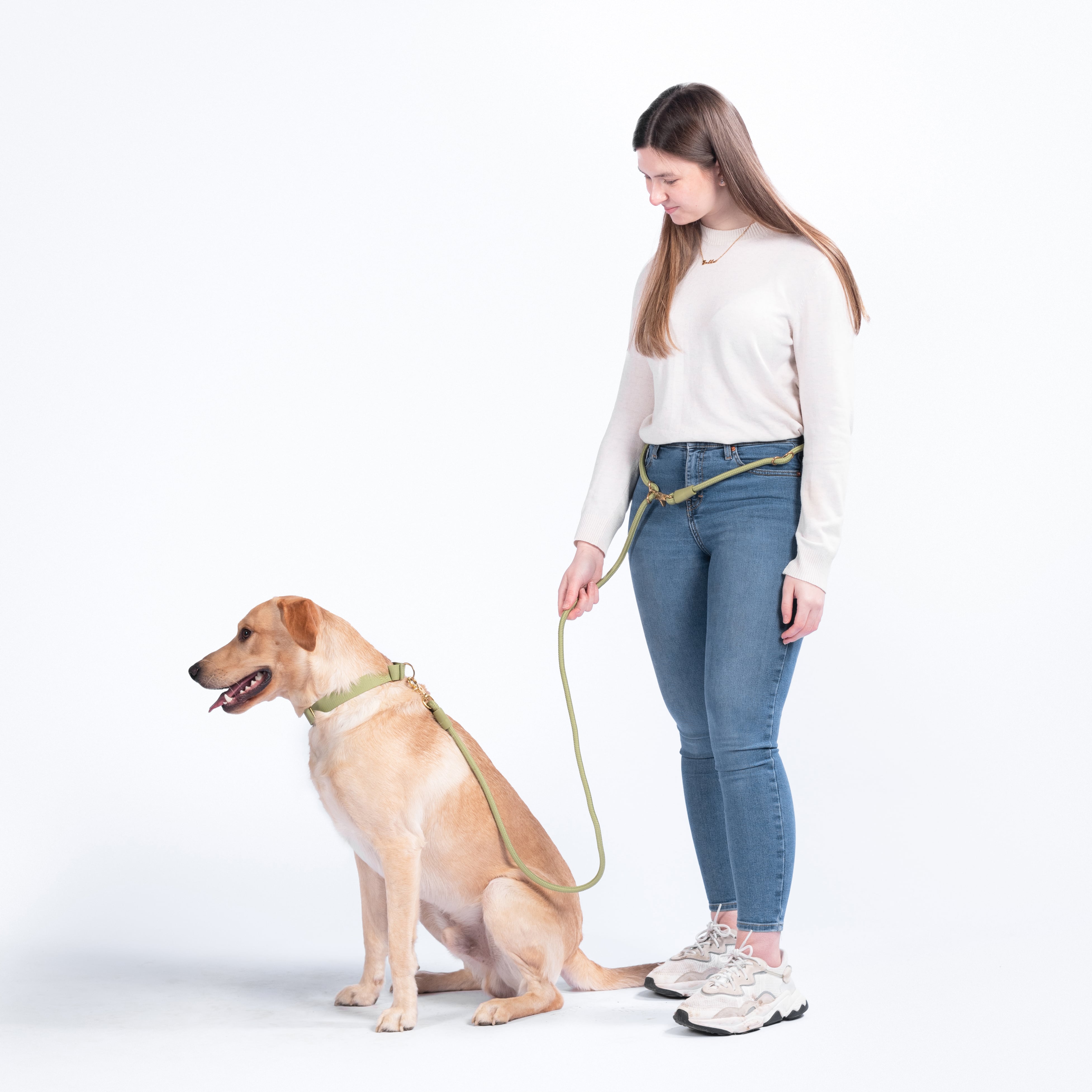 Infinity Dog Leash
