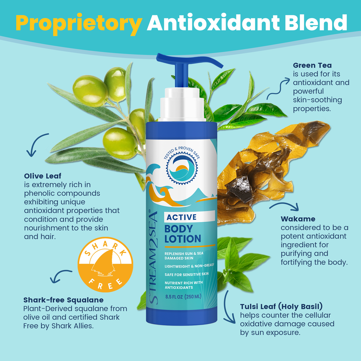 Nourishing Body Lotion