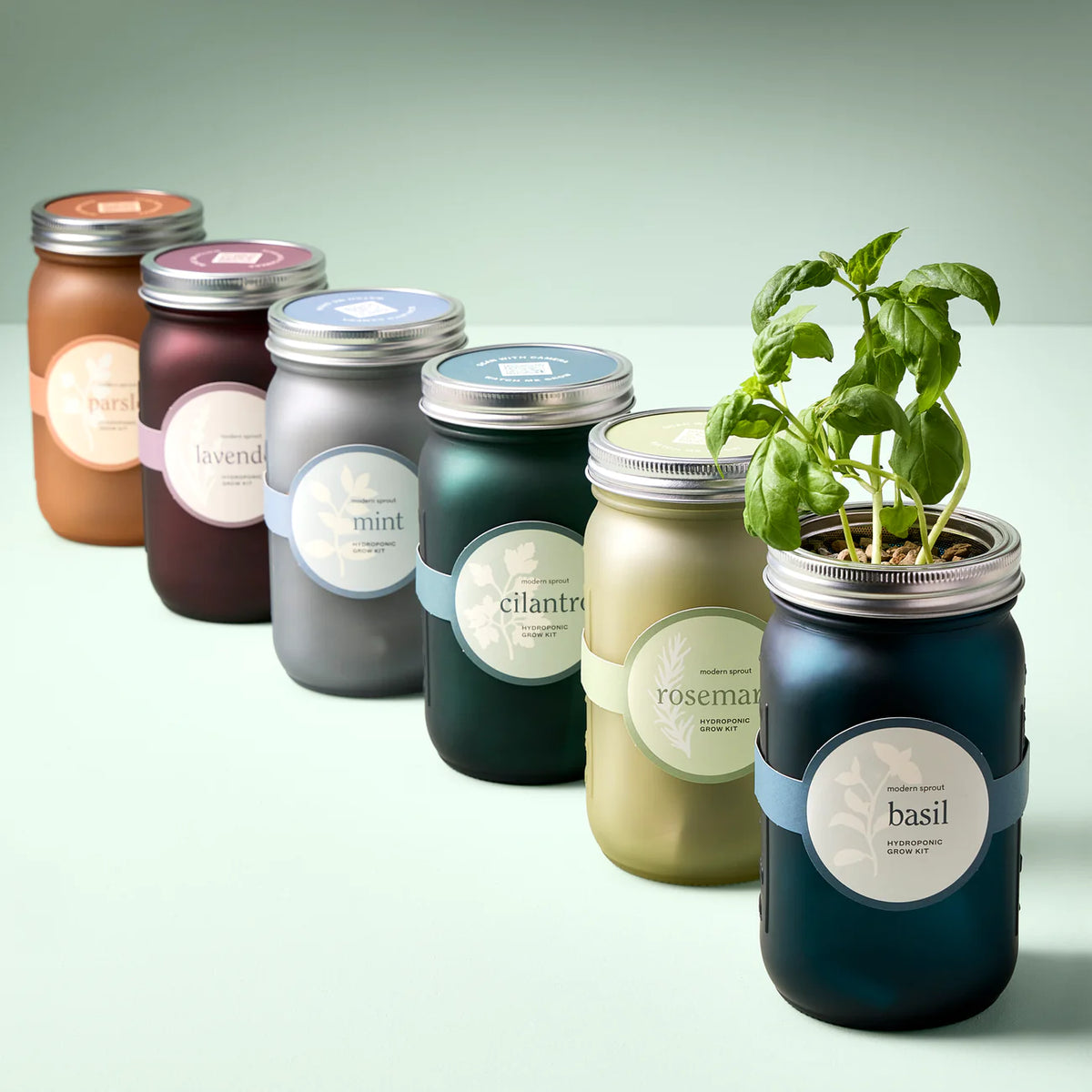 Herb Jar and Self-Watering Planter