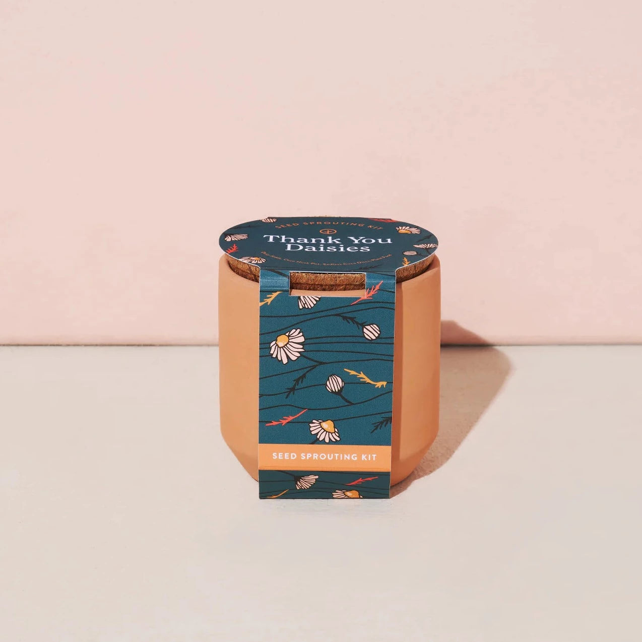 Tiny Terracotta Planter Kit