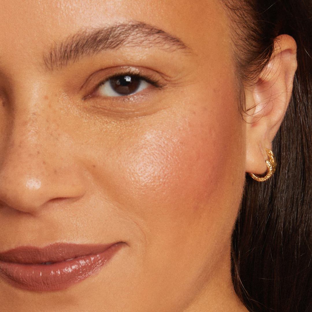 Fungdation - Reishi Mushroom Foundation