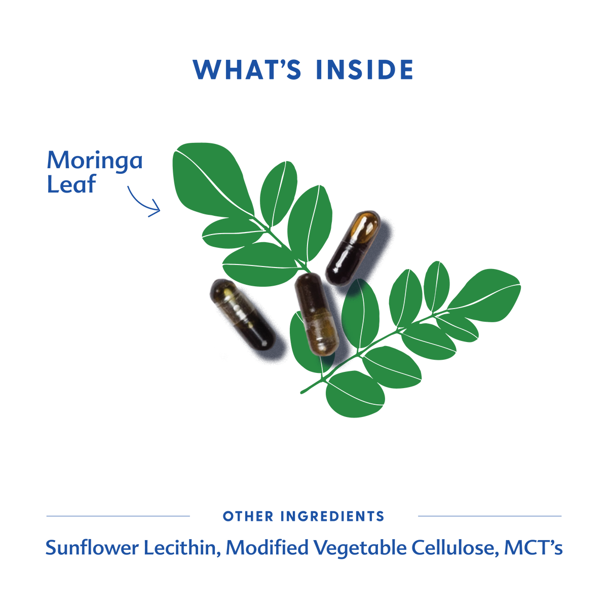 Moringa (Malunggay) - Liquid Capsules