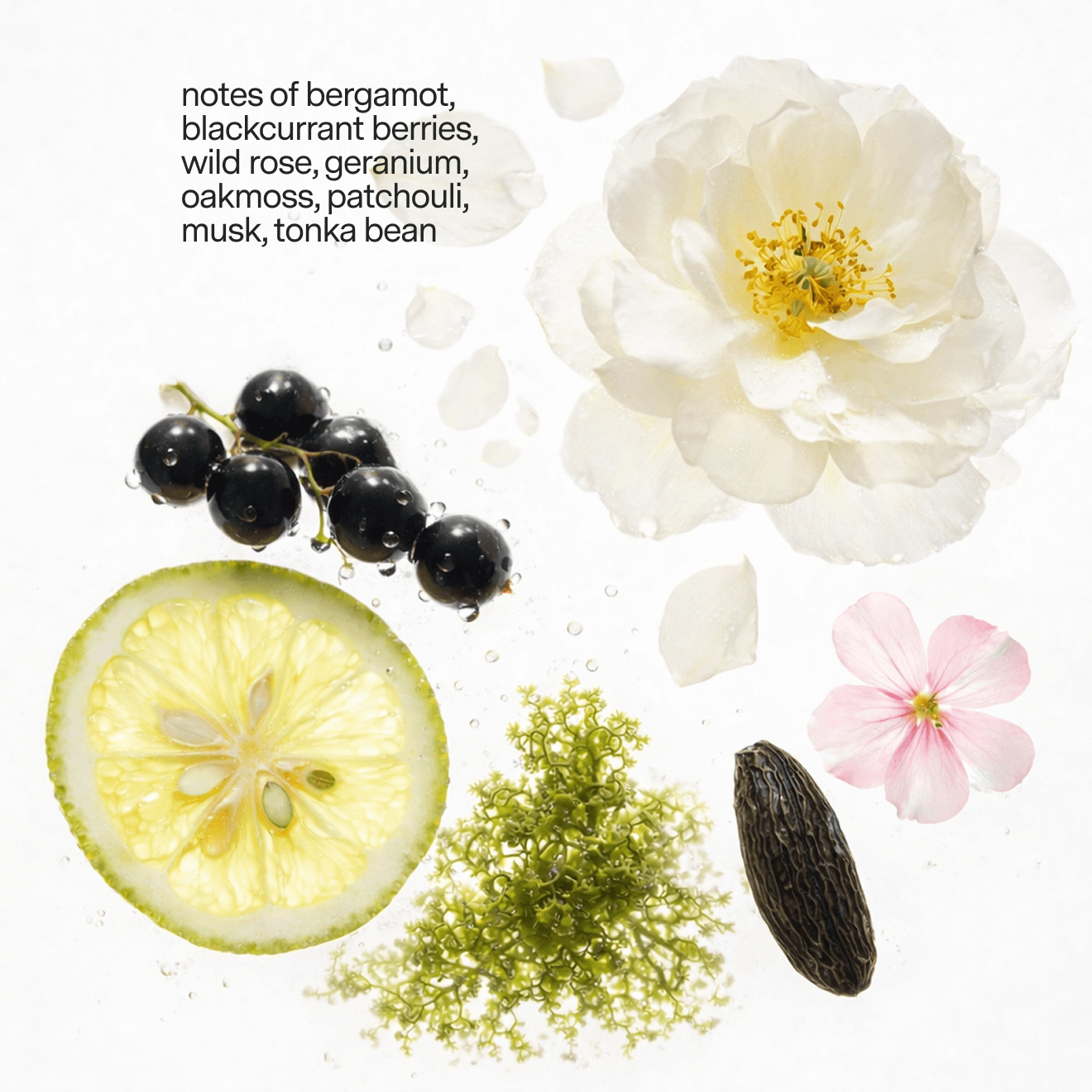 The Best Sellers Pack