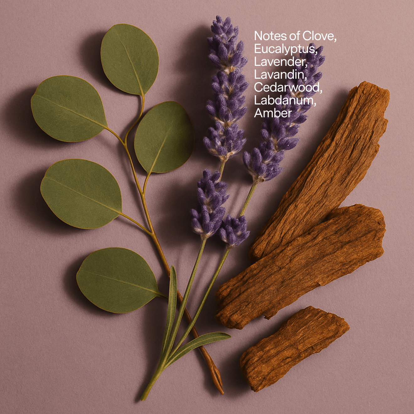 No. 05 Candle Refill — Clove, Lavender, Cedarwood