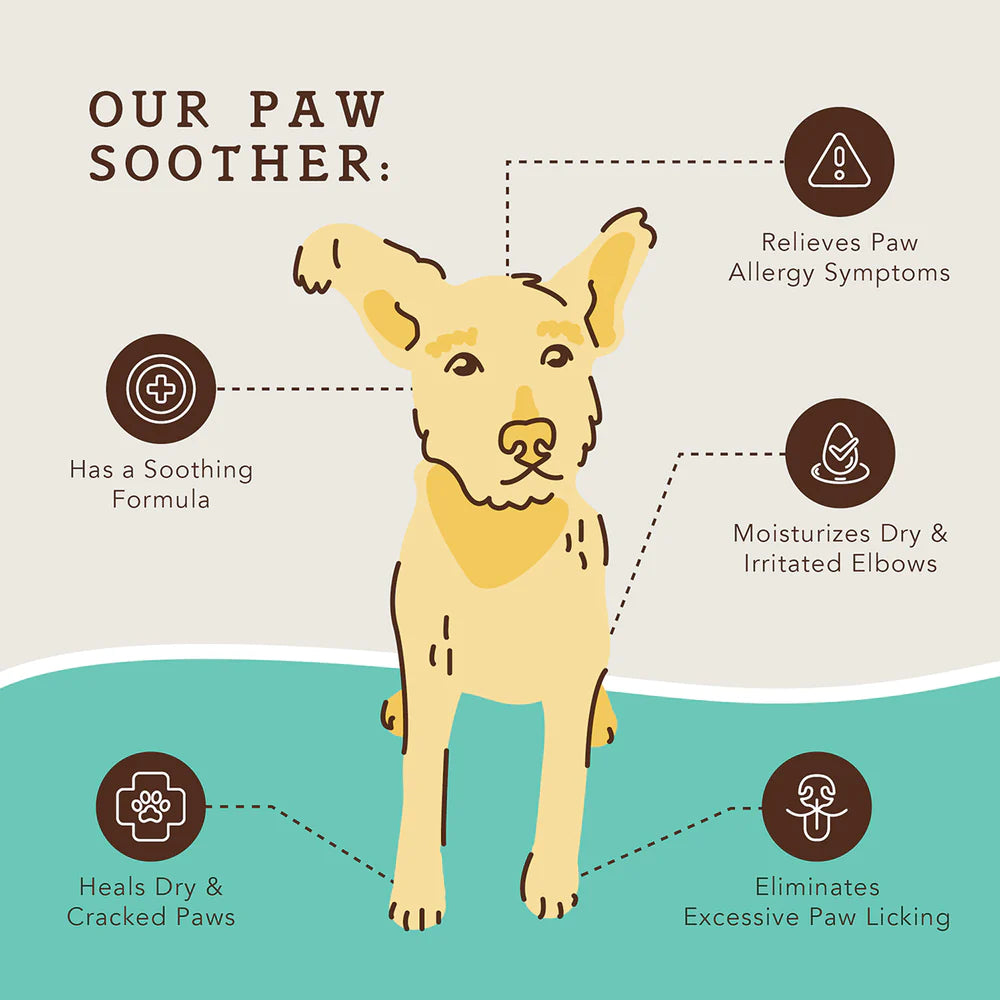 Paw Soother Dog Healing Balm