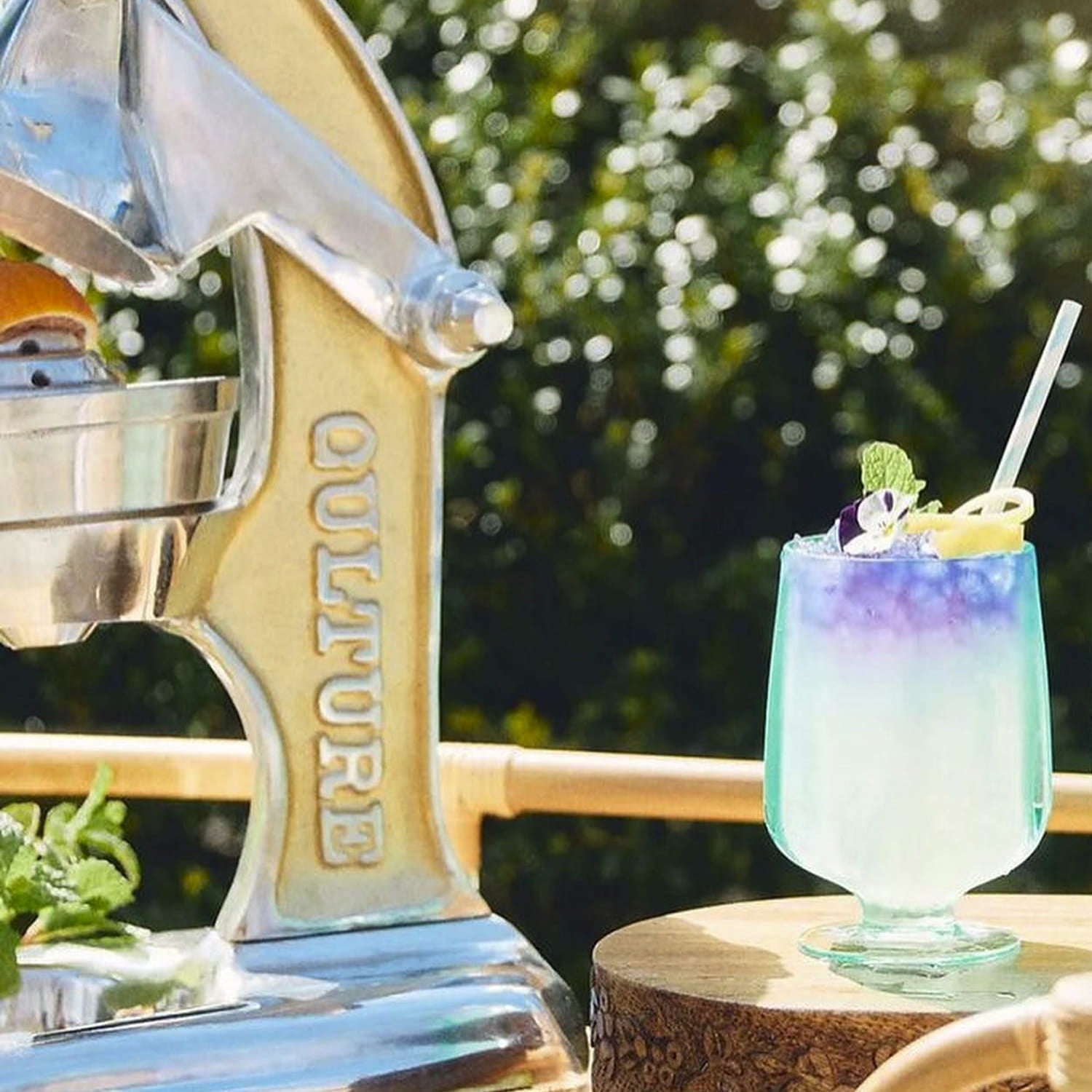 Artisan Citrus Juicer - Large