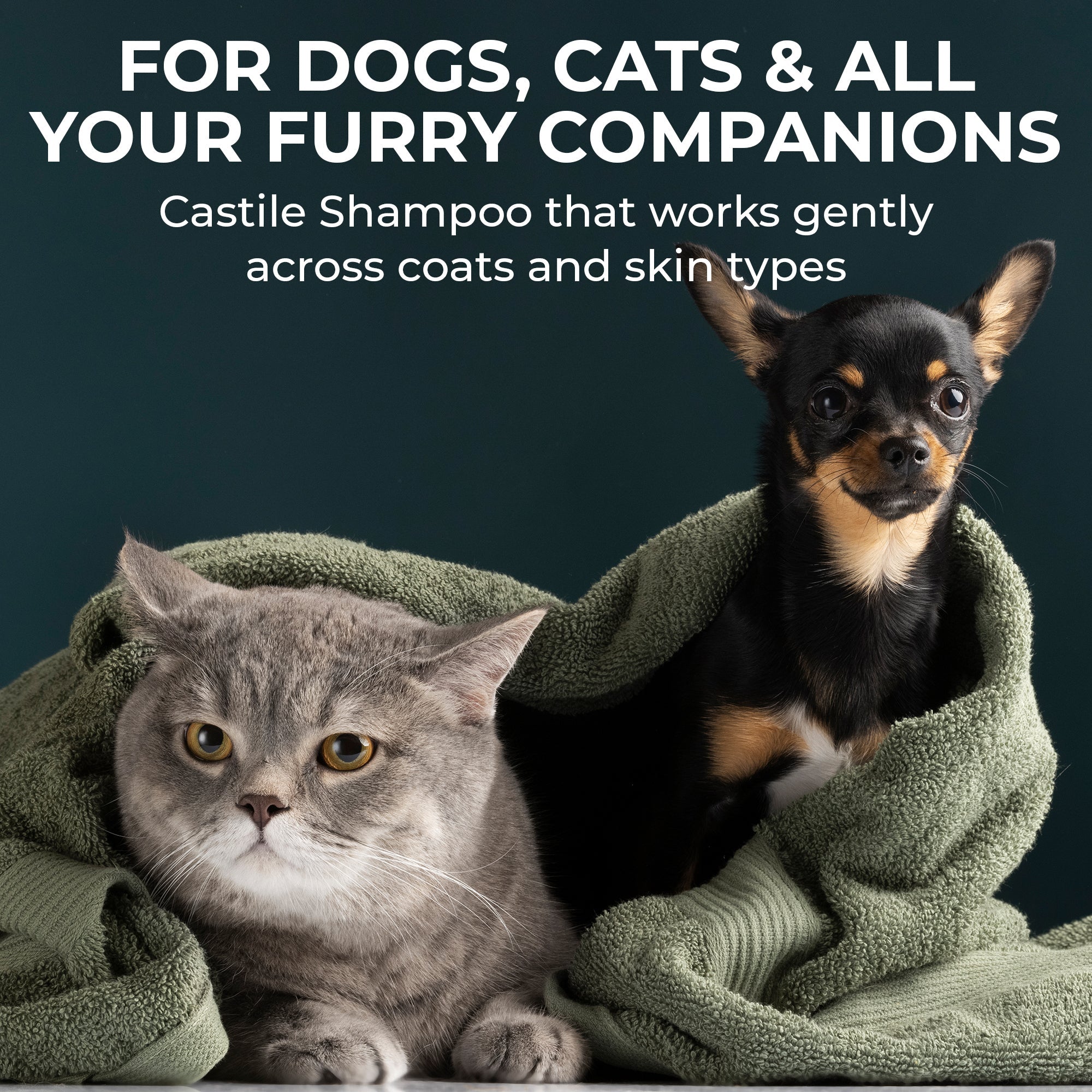 Castile Pet Shampoo Green Tea & Mint
