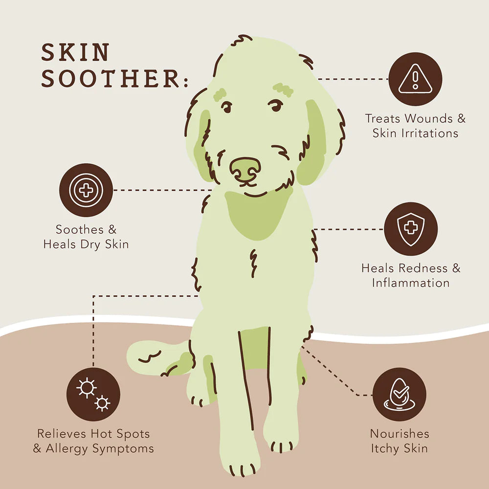 Diy dog skin soother outlet