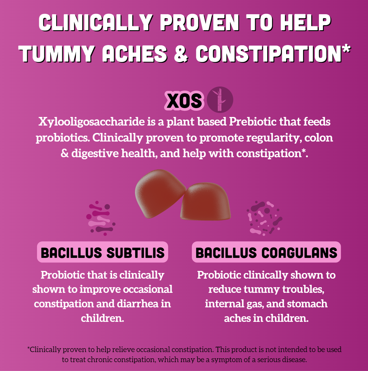 Family Gut Support Bundle – Kids + Adult Pre & Probiotic Gummies – Mixed Berry